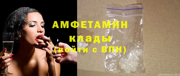 индика Абаза