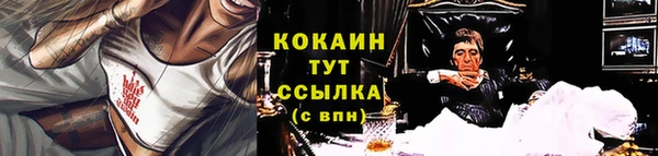 индика Абаза