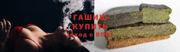индика Абаза