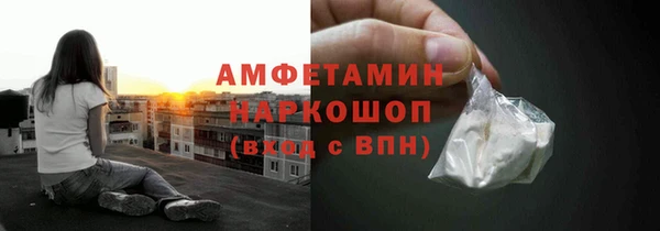 индика Абаза
