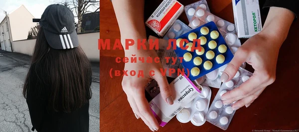 индика Абаза