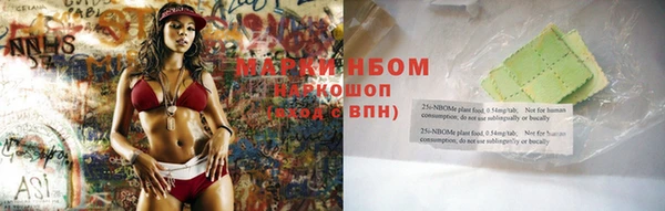 индика Абаза