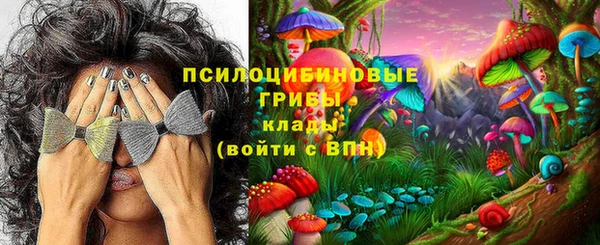 индика Абаза