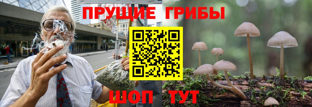 Тольятти  Галлюциногенные грибы мицелий  Вход с VPN 
